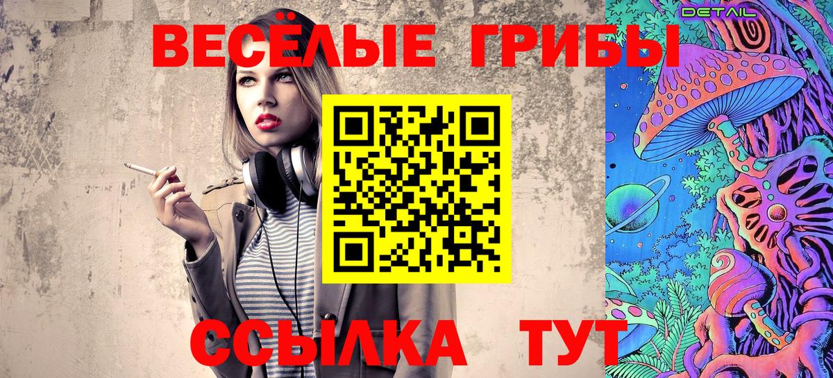 Псилоцибиновые грибы Psilocybine cubensis Казань